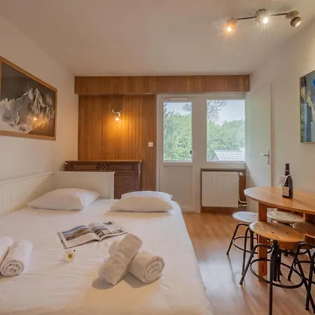 Apt. La Larze 58 - Happy Apartman Chamonix